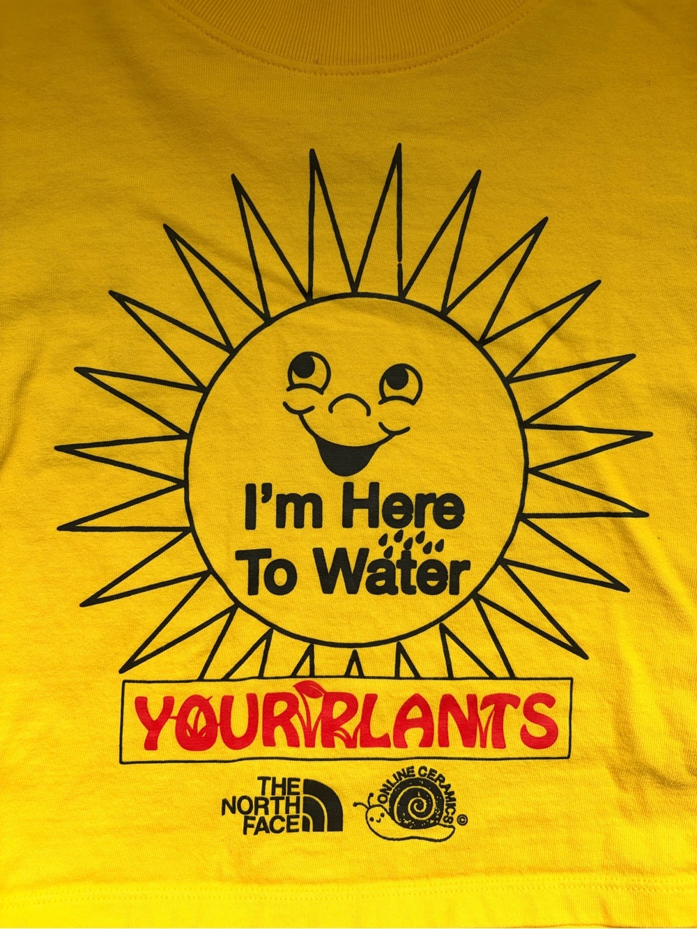 The North Face Online Ceramics Limited Edition Yellow Crop Tee